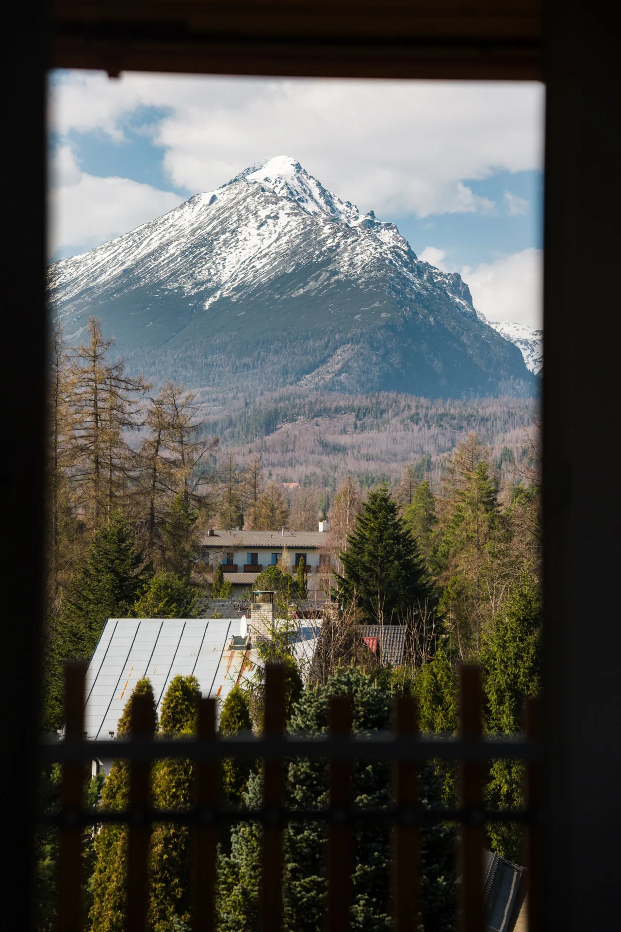 Hotel LESANA