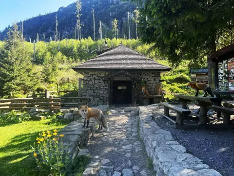 Hotel LESANA