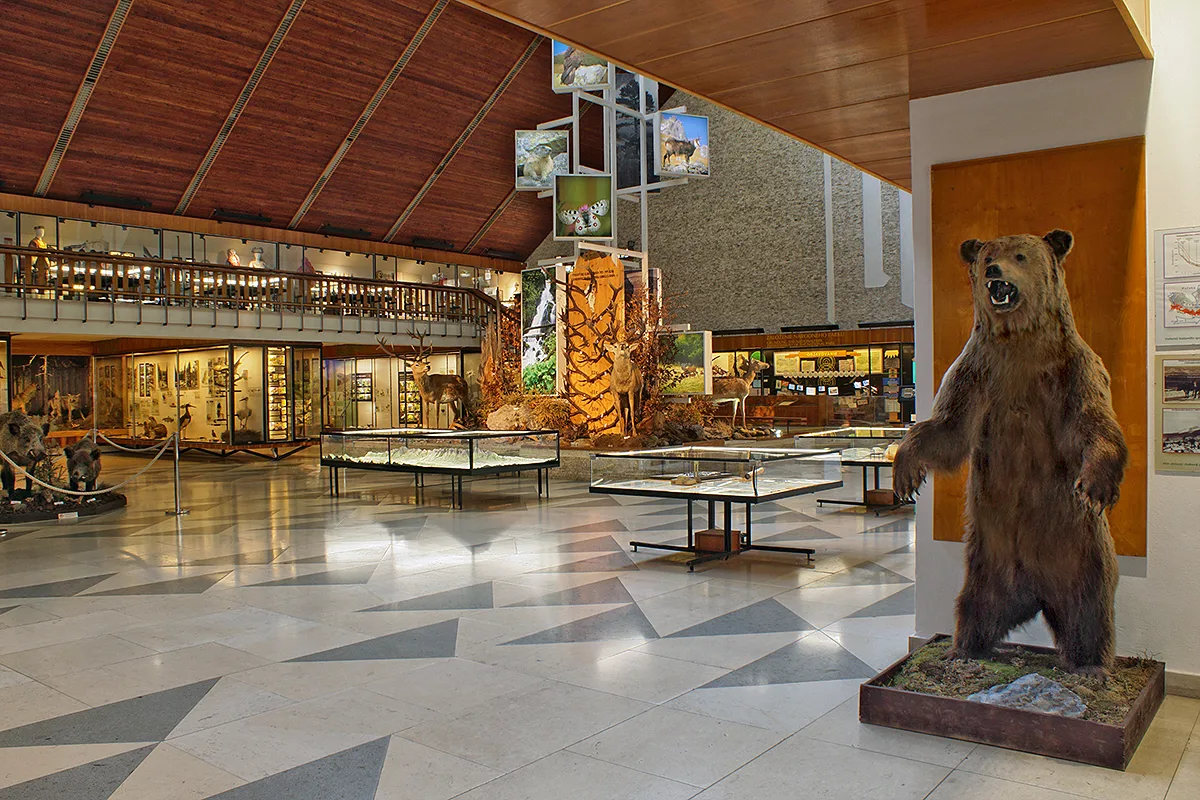 Hotel Atlas Tatry