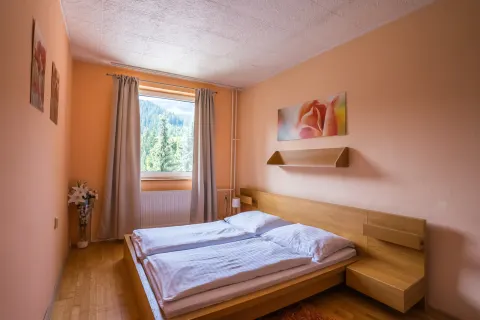 Hotel Borová Sihoť